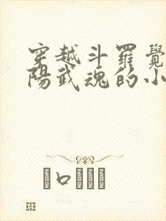 穿越斗罗觉醒太阳武魂的小说