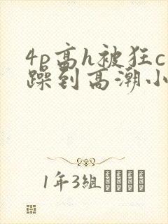 4p高h被狂c躁到高潮小说