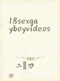 18sexgayboyvideos封面