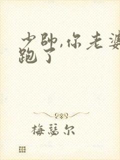 少帅,你老婆又跑了