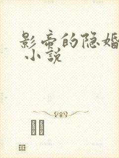 影帝的隐婚妻子 小说封面