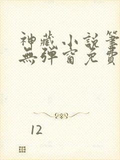 神藏小说笔趣阁无弹窗免费