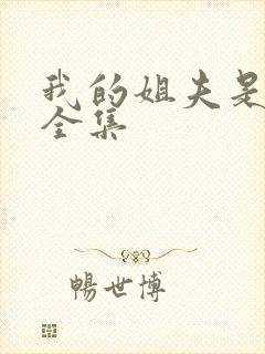 我的姐夫是太子全集封面