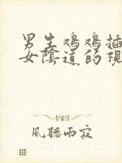 男生鸡鸡插进美女阴道的视频封面