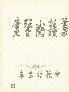 唐殁小说笔趣阁免费阅读最新章节更封面