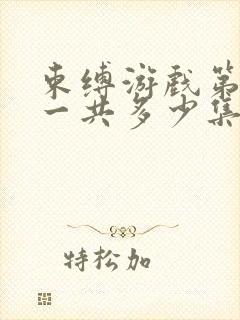 束缚游戏第一季一共多少集