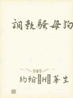 调教骚母狗屁眼