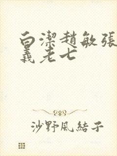 白洁赵敏张倩高义老七