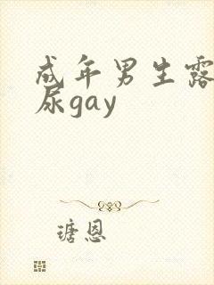 成年男生露j撒尿gay