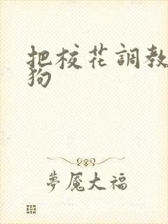 把校花调教成母狗封面