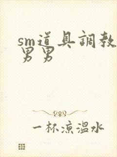 sm道具调教文男男