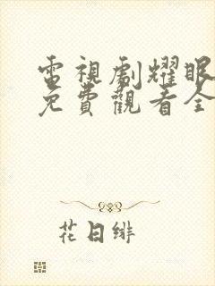 电视剧耀眼的你免费观看全集高清封面