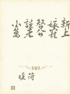 小说替嫁新娘亿万老公宠上天封面