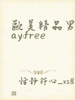 欧美精品男同gayfree