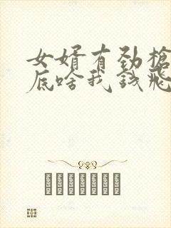 女婿有劲枪枪到底啥我钱飞了