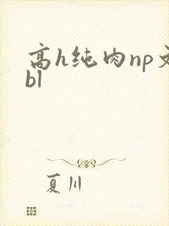 高h纯肉np文bl