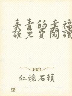 秦青的幸福的小说免费阅读无弹窗封面