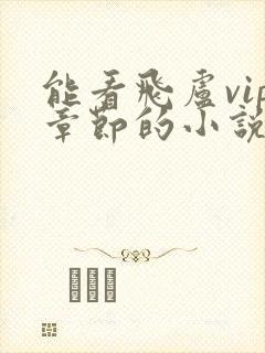 能看飞卢vip章节的小说软件