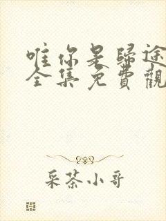 唯你是归途短剧全集免费观看封面