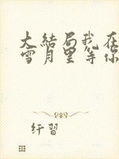 大结局我在风花雪月里等你封面