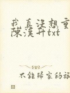 我真没想重生啊陈汉升txt封面