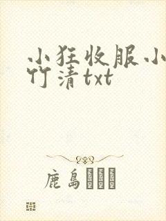 小狂收服小舞朱竹清txt