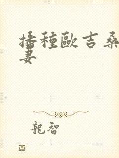 播种欧吉桑与人妻