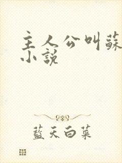 主人公叫苏霞的小说