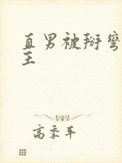 直男被掰弯双男主