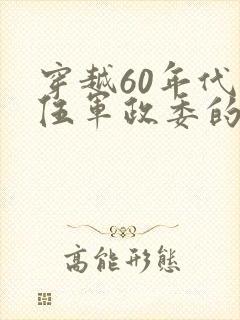 穿越60年代退伍军政委的小说