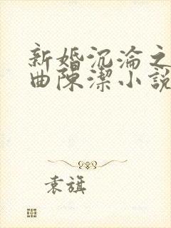 新婚沉沦之三部曲陈洁小说封面