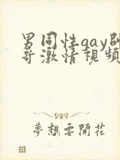 男同性gay帅哥激情视频