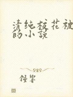 清纯校花被调教的小说