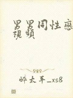男男同性恋gv视频