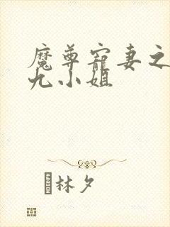 魔尊宠妻之至尊九小姐