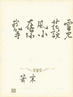 我在风花雪月里等你小说免费