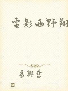 电影西野翔之公封面