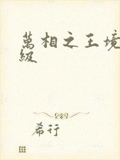 万相之王境界等级封面