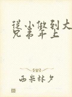 从小做到大骨科兄弟年上