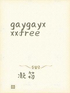 gaygayxxxfree