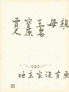 贾宝玉母亲王夫人原名