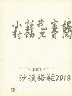 小说我家娘子不对劲免费阅读免费