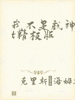 我不是戏神txt精校版