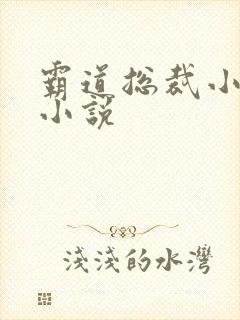 霸道总裁小娇妻小说