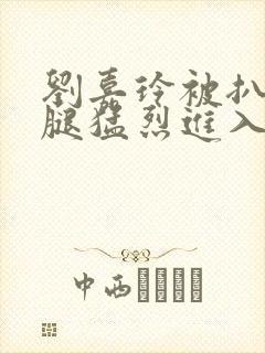 刘嘉玲被扒开双腿猛烈进入小说