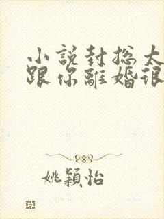 小说封总太太想跟你离婚很久了全文免费阅读封面