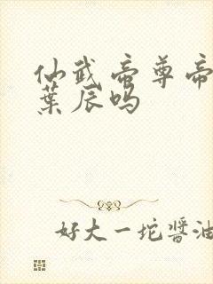 仙武帝尊帝荒是叶辰吗封面