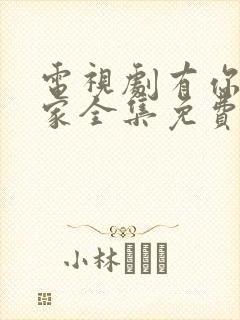 电视剧有你才有家全集免费观看封面