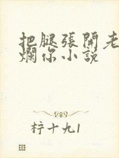 把腿张开老子臊烂你小说