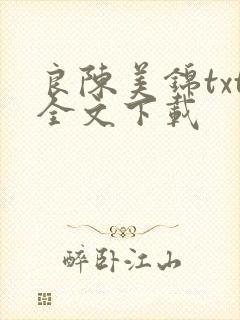 良陈美锦txt全文下载